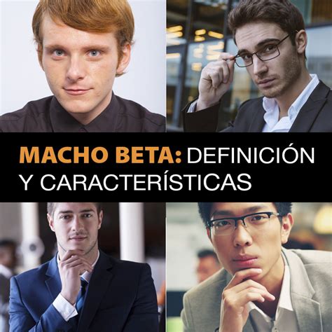 O Macho Beta 